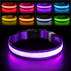 PcEoTllar Leuchthalsband Hund, Hundehalsband Leuchtend Aufladbar mit 7 Farbwechsel - 8 Leuchtmodi, LED Hundehalsband Wasserdicht für Kleine Mittlere Große Hunde Leuchtendes Halsband, Lila-S S(28-40cm/11-15.7inch) Lila