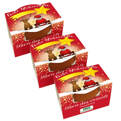 Bull & Bear 3er Set Mini Pflanzset 'Frohe Weihnachten' mit Samen für Stern des Orients im Topf 4,5cm, Chrysantheme Anzuchtset mit Pflegeanleitung 3 Stück Frohe Weihnachten' Stern des Orients