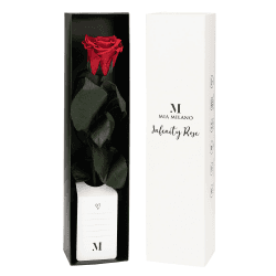 Infinity Rose rot am Stiel (3 Jahre haltbar) in Geschenkbox I Valentinstag Deko Geschenk I Eine konservierte Blume mit Rosenduft I Inkl. Geschenkkarte 1