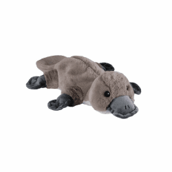 Warmies® Wärmekissen Schnabentier mit natürlicher Hirsekorn-Lavendel-Füllung 28 cm 230 g Grau 1 Stück (1er Pack)