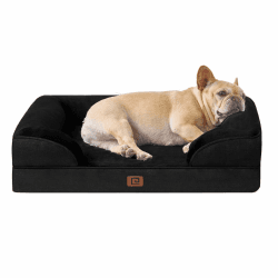 EHEYCIGA Orthopädisches Hundebett Kleine Hunde, Memory Foam Hundekorb Mittelgroße Hunde, Waschbar Hundesofa Wasserdicht rutschfest, Hundecouch mit Hohem Rand L 76 x B 51 x H 15 cm Schwarz