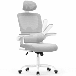 naspaluro Bürostuhl, Ergonomischer Schreibtischstuhl mit Verstellbarer Kopfstütze, Armlehnen, Dynamischer Lordosenstütze, Drehstuhl mit Atmungsaktivem Netzbezug für das Home Office,Grau Grau Mit Kopfstütze