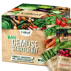 valeaf BIO Gemüse Starter Set I Gemüse Samen Anzuchtset zum Gemüse züchten I Mini Gemüseset m. Bio Gemüsesamen I Saat Gemüse Anzucht I Pflanzset buntes Gemüse I Gemüse Samen (BIO Gemüse Starter Kit) Starter Sets BIO Gemüse Samen