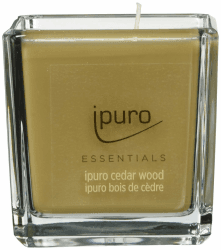 ipuro - dekorative cedar wood - minimalistische & puristische Duftkerzen im Glas - intensive mit holzigen & würzigen Noten - stilvolle Kerze 125 g 125 g (1er Pack) CEDAR WOOD