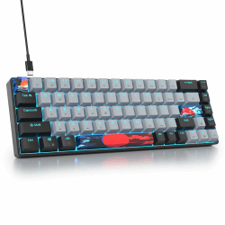 SOLIDEE mechanische Gaming Tastatur 65 Prozent,68 Tasten kompakte mechanische Tastatur RGB Hintergrundbeleuchtung,65 Prozent Tastatur mechanisch QWERTY,Roter Schalter für Win/Mac PC Laptop(68 Dolch) 68 Dolch/Red Switch