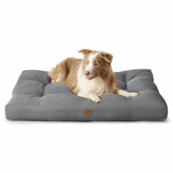 BEDSURE Hundekissen große Hunde waschbar - 111x89cm hundematratze wasserdicht XXL für große, mittelgroße Hunde Outdoor gepolstert Hundematte dunkelgrau in 10cm Höhe, groß XL Hundebett für Haustiere Grau L 111 x B 89 x H 10 cm
