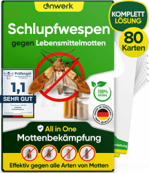 anwerk® Schlupfwespen gegen Lebensmittelmotten - 80 Karten (20 Karten à 4 Lieferungen) - Effektiv Lebensmittel Motten bekämpfen - Alternative zur Mottenfalle, Mottenspray, Pheromonfalle 20 stück (4er Pack)
