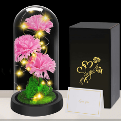 Touloube Geschenke für Frauen Weihnachten Nelken Blumen-Geschenke für Mama, leuchtende künstliche Blumen, künstliche Nelken Blume in Glaskuppel Jahrestag, Geburtstag, Glückwünsche, Gute Besserung N-dunkelrosa Nelke