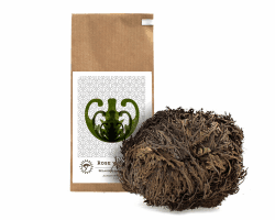 YAKEBA | Rose von Jericho | Groß | Selaginella lepidophylla | Papiertüte | Perfekte Deko Pflanze als Terrarium Zubehör oder für Ihr Flaschengarten Glas | Pflanze ins Glas und schon wird sie grün…