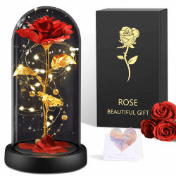 BOLEi Ewige Rose für Frauen, Ewige Rose im Glas Überraschung für Mama, Die Schöne und das Biest Rose, Hochzeitstag Überraschung für Frauen, Rote Galaxie Rose für Sie, Frauen, Mama, Freundin, Oma Klassische Rote Rose