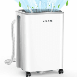COLAZE Luftentfeuchter 12L/Tag, Kompressor-Typ Luftentfeuchter Elektrisch für Keller Home Schlafzimmer Badezimmer Großes Zimmer Auto bis 50m³ (~20 m²), Digitalanz Belüftung nach oben