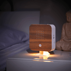 Northpoint Nature Sound Box Vogelgezwitscher Vogelgeräusche Box Motion Sensor Vogelgeräusche Licht Wiederaufladbar mit Wandhalterung Buche Winkel Buche Hoekig