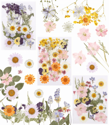 66 Stück Gepresste Blumen,Getrocknete Blumen,Gepresste Blüten,DIY Getrocknete Blumen Design 66 pcs