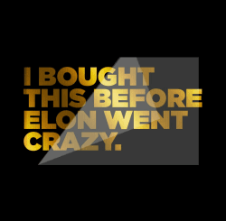 I BOUGHT THIS BEFORE ELON WENT CRAZY - Tesla Bumper Vinyl Sticker (Bronze)