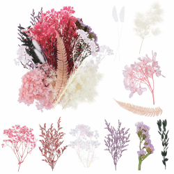 DATEFUN Trockenblumen zum Basteln - Echte Getrocknete Gepresste Blumen - Natürliche Blumen Deko für DIY-Kerzenharzschmuck, Nagelanhänger, Bilderrahmen