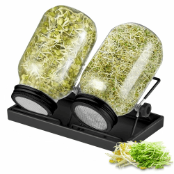 ecooe Sprossen Keimglas Schwarz 2er Set keimgläser für Sprossenglas Sprouting jar mit 1 Wasserschale 2 Filtergitterabdeckungen aus Edelstahl 304 und 2 Ständer 2er–750ml–schwarz