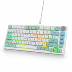 SOLIDEE Verkabelte Mechanische Gaming Tastatur 75%,hot-swap-fähige mechanische Tastatur Gasket,RGB Hintergrundbeleuchtung,QWERTY 82 Tasten TKL Gaming Tastatur,NKRO Tastatur mit Drehknopf(82 Mint) 82 Mint/Red Switch