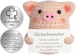 Tixlux Pocket Hug Glücksschweinchen, Kreative Strickwolle Minischwein Puppe und Kleine Umarmung Glücksbringer (Silber Ⅰ), Mutmacher Geschenk, Gute Besserung Geschenk, Einschulung Geschenk Silberⅰ