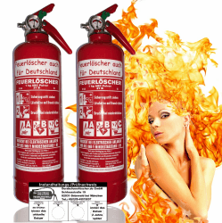 Brandengel 2 X 1kg Premium Autofeuerlöscher Pulverlöscher Feuerlöscher, LKW PKW Motorrad KFZ EN 3 Messingarmatur Manometer Halterung ABC 2LE (Mit Prüfnachweis u. Jahresmarke) 2.) mit Prüfnachweis Bmit.) 2x 1kg Druckhebel ABC Pulver 8A 21B C = 2LE