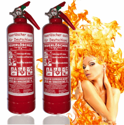 Brandengel 2 X 1kg Premium Autofeuerlöscher Pulverlöscher Feuerlöscher, LKW PKW Motorrad KFZ EN 3 Messingarmatur Manometer Halterung ABC 2LE (Ohne Prüfnachweis u. Jahresmarke) 1.) ohne Prüfnachweis B.) 2x 1kg Druckhebel ABC Pulver 8A 21B C = 2LE