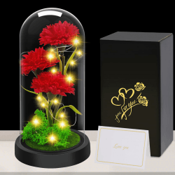 Touloube Geschenke für Frauen Weihnachten Nelken Blumen-Geschenke für Mama, leuchtende künstliche Blumen, künstliche Nelken Blume in Glaskuppel Jahrestag, Geburtstag, Glückwünsche, Gute Besserung N-rot Nelke