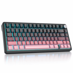 SOLIDEE mechanische Gaming Tastatur 75 Prozent mit Knopf,Bluetooth 5.0/2.4GHz/USB-C Gasket Mount Side Engraved Tastatur,hot-swap-fähige Tastatur mit South Facing RGB Hintergrundbeleuchtung(Sunset) Sunset/White Switch