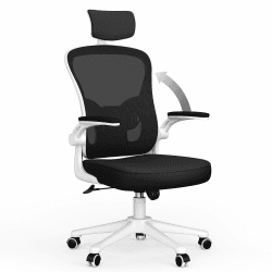 naspaluro Ergonomischer Bürostuhl mit Atmungsaktiver Netzbespannung, Schreibtischstuhl mit Verstellbarer Armlehnen, Kopfstütze, Lordosenstütze, Höhenverstellung, 360° Drehstuhl, Weiß Weiß Mit Kopfstütze