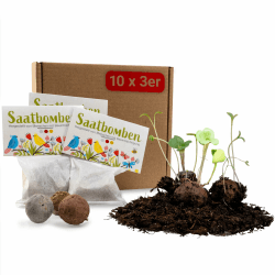 LouMaxx Set aus 10x3 handgemachten Saatbomben, Samenbomben Geschenk, Blumensamen als Gastgeschenk, nachhaltige Samen Kinder Mitgebsel, ökol. Pflanzkugeln mit über 50 Arten Blumensamen 10 x 3 Stück 30.0