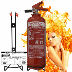 Brandengel® 2 L Schaum Feuerlöscher EN 3 Manometer Halterung Messingarmatur Sicherheitsventil, 5 A, 34B (Mit Prüfnachweis u. Jahresmarke) Küche Haushalt Gastro Hotel 2.) mit Prüfnachweis Hmit.) 1x 2L Schaum AB 5 A, 34 B = 1 LE