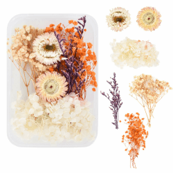 Trockenblumen zum Basteln Trockenblumen Deko Trockenblumen Klein Getrocknete Blumen Deko Trockenblumen Basteln Trockenblumen Set für DIY Basteln Handwerk Epoxidharz Scrapbooking Dekoration Weiß - A