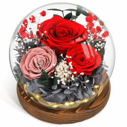 CSYY Ewige Rose, Glas Infinity Glasrose Konservierte Unendliche Haltbare Rote Blume Licht Eternal Geschenke Frauen Mama Freundin Ehefrau Valentinstag Geburtstag Rot