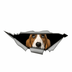 Autoaufkleber 25cm(9.8 Inch) Basset Hound Aufkleber Lustig Basset Hound Car Sticker Basset Hound Haustier Hund Wasserdichte Aufkleber Basset Hound Personalisieren 3D Zerrissen Reflektierende Aufkleber 25cm(9.84Inch)