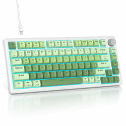 SOLIDEE Verkabelte Mechanische Gaming Tastatur 75 Prozent,hot-swap-fähige Mechanische Tastatur mit Gasket Struktur,RGB Hintergrundbeleuchtung,82 Tasten TKL Tastatur mit Drehknopf(82 Matcha Gradient) 82 Matcha Gradient/White Switch