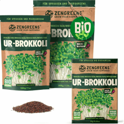 ZenGreens® - Bio Ur-Brokkoli Sprossen Samen - Wähle zwischen 10g, 200g und 500g - Brokkolisprossen mit hohem Sulforaphan-Gehalt - Stengelkohl Samen - Brokkolisamen - Keimrate von über 97% 10 g (1er Pack) Bio Ur-Brokkoli Samen