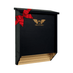 Wildyard Bat House for Outdoors - Der Komplette Fledermauskasten für den Außenbereich - Säubere deinen Garten von Mücken - Fledermauskasten ohne Lack innen - Eine Kammer Zedernholz-Fledermauska 2 chamber black
