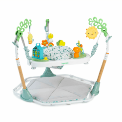 Ingenuity Tummy-to-Toes 6-in-1 Milestone Center, Spielzeugstange, Faltbare Matte, Musik und Naturgeräusche, Lichter, Aktivitätshopser, Tisch, Spielhaus, für 0-48 Monate