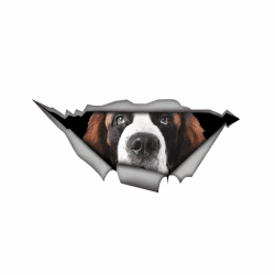Autoaufkleber 25cm(9.8 Inch) Bernhardiner Aufkleber Lustig Saint Bernard Car Sticker Haushund Wasserdichte Aufkleber Bernhardiner 3D Zerrissen Metall Reflektierende Aufkleber Stoßstange Lustig Dekor 25cm(9.84Inch)