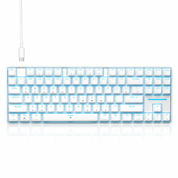 TMKB T87SE TKL Gaming Tastatur, Kompakt 87 Tasten Mechanische Tastatur mit Brown Tactile Switch, LED Beleuchtung, Anti-Ghosting, Typ-C-Datenkabel, US Layout für PC Windows Gamer Typist,Weiß