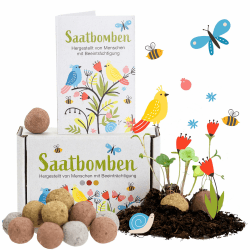 LouMaxx 15er Pack handgemachte Saatbomben, Samenbomben Geschenk, Blumensamen als Gastgeschenk, nachhaltige Samen Kinder Mitgebsel, ökologische Pflanzkugeln mit über 50 Arten Blumen & Kräutern 1 x 15 Stück 15.0