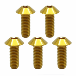 RISON Titanium Bolzen M6x1.0x16mm Titan Kuppelkopf Kopfbolzen Innensechskant Bolzen golden Titanschrauben Sockel Kopf Schraube für Fahrrad Motorrad 5 Stück M6x1.0x16mm golden