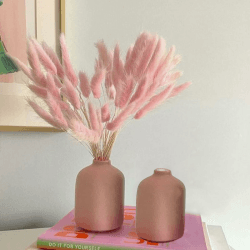 FANNAS Pampasgras Trockenblumen Deko, 60 Stück Hasenschwänze Pampasgras Getrocknet Trockenblumen,Natürliche Pampas Gras Trockenblumen für Blumen Arrangements Heim Decor Hochzeit (Rosa)