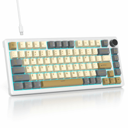 SOLIDEE Verkabelte Mechanische Gaming Tastatur 75 Prozent,hot-swap-fähige Mechanische Tastatur mit Gasket Struktur,RGB Hintergrundbeleuchtung,82 Tasten TKL Tastatur mit Drehknopf(82 Glimmer) 82 Glimmer/White Switch