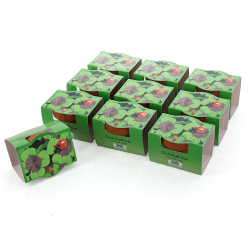 Bull & Bear 10er Set Mini-Pflanzset Glücksklee, 10x Kleezwiebeln im Topf 4,5cm, vierblättrige Kleeblätter als Anzuchtset mit Pflegeanleitung 10 Stück Glücksklee