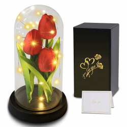 Geschenke für Frauen Weihnachten, Künstliche Tulpen für Immer, Geschenk für Mutter, Oma,künstliche Tulpe in Glaskuppel, Einzigartige, Geburtstagsgeschenke für Freunde, Schwestern, Ehefrau, Ehemann T-rot Tulpe