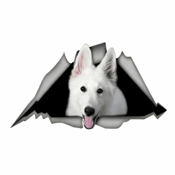 Autoaufkleber 25cm Weißer Deutscher Schäferhund Auto Aufkleber White German Shepherd Zerrissen Reflektierende Aufkleber Stoßstange Kofferraum Heckscheibe Dekor Wasserfester Haustier Hund Aufkleber 25cm(9.84Inch)