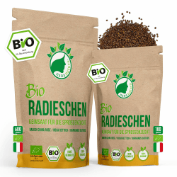Bio Radieschen Sprossen Samen 600g VORTEILSPACK | Keimfähige Radieschensamen zur Sprossenzucht | Radies Rambo Rosa Rettich Keimsprossen fürs Sprossenglas 600g Bio Radieschen Samen