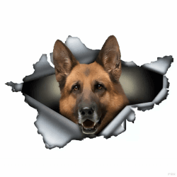 Car Stickers 18Cm Deutscher Schäferhund Autoaufkleber German Shepherd Aufkleber Haustier Hund Zerrissenes Aufkleber Reflektierende Wasserfester Aufkleber Stoßstange Heckscheibe Dekor D2003# 18cm(7.08Inch)