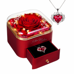 GOICC Ewige Rose Infinity Rosen mit Kette Konservierte Echte Rosen Schmuck Box Für Mama Oma Für Sie Freundin Hochzeitstag Geburtstag Geschenke Für Frauen Rote