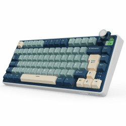 RK ROYAL KLUDGE R75 Mechanische Tastatur Kabellos 75%, Gasket Gaming Tastatur 75 Prozent TKL mit Knopf QWERTZ RGB Bluetooth/2.4G/USB-C PBT Tastenkappen QMK/VIA, Hot Swap Linearer Creamy Switches Blau