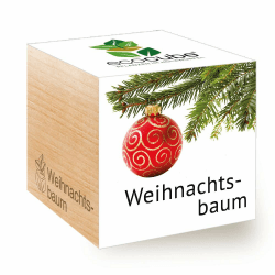 Feel Green Ecocube Weihnachtsbaum/Xmas Tree, Nachhaltige Geschenkidee (100% eco friendly), Grow Your Own/Anzuchtset, Pflanzen Im Holzwürfel, Made in Austria XMAS Weihnachtsbaum